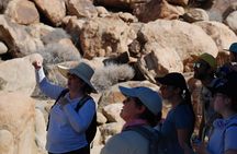 Joshua Tree Natural Wonders Walk: Plants, Animals and Rocks