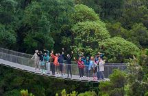 Wenchi Crater Lake Tour from Addis Ababa