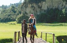 Wenchi Crater Lake Tour from Addis Ababa