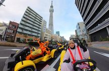 Go Karting Tokyo Bay Experience | 9 Top Destinations in 120 Mins