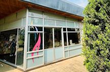 Rwanda Immersion: 4-Day History & Politics (All-Inclusive Tour)