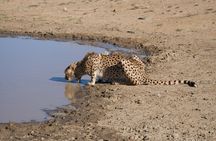 3Day Private Tanzani Safari in Ngorongoro and Tarangire Adventure