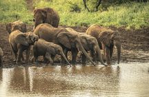 3 Day Serengeti & Ngorongoro Camping Safari Adventure