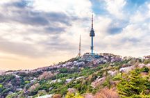 Seoul Panorama Tour; Landmarks & City Views