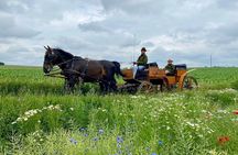 Country and Castle Tours by Carriage