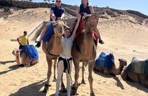 Tangier luxury private Day trip From Gibraltar All inclusive 