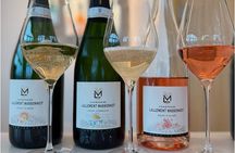 Vineyard and Triple Tasting First Cru in the Mountains of Reims 
