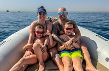  Private Speed Boat snorkeling & watching Dolphins_families Tour 