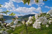 Scenic Hardanger -Fjord, waterfalls, orchards - Bus tour