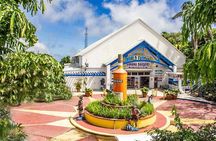 Prince taxi & Tours St.Thomas Virgin Islands-Island Scenic Tour