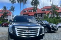 Prince taxi & Tours St.Thomas Virgin Islands-Island Scenic Tour