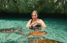 Turtles Sanctuary in Salaam Cave