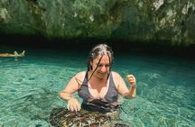 Turtles Sanctuary in Salaam Cave