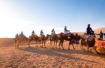 From Marrakech: Agafay Desert Camel Ride experience Dinner show