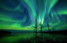 Levi Northern Lights Experience