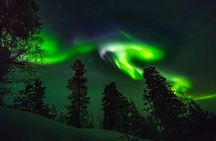 Levi Northern Lights Experience