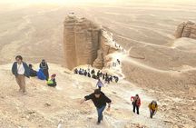 Riyadh Edge of The World Off Road 4x4 Bat Cave & Camels Hike tour