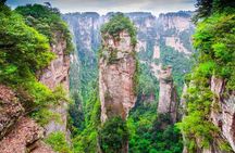 Private Zhangjiajie National Forest Park Day Tour