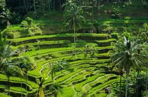 All Inclusive of Ubud Top Attraction 