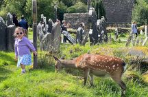 Day Trip to Glendalough and Wicklow Mountains