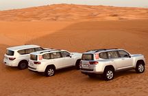 Dubai Morning Desert Safari Red Dune Camel Falcon & Sandboarding