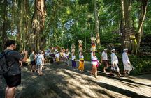 Ubud Puripication Temple, Rice Terrace, Waterfall & Monkey forest