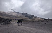 8 Days Mount Kilimanjaro Trek Via Lemosho