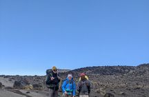 8 Days Mount Kilimanjaro Trek Via Lemosho