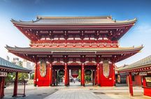 Tokyo Full Day Customizable Tour with English Speaking Driver