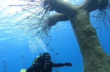 Musan Scuba Diving Private Adventure