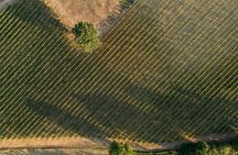 A Classic Tuscan Winery with Lunch in Montepulciano