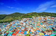 Private Busan Tailor made Tour with Tongdosa Buddhist Temple