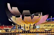 Spectra & Garden Rhapsody night Shows and Singapore River Cruise