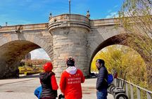 Madrid River Segway Tour (Excellence since 2014)