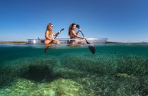 Rent a Transparent Kayak - Discover the Underwater Magic
