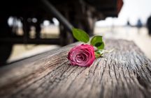 Private Guided Tour to Auschwitz & Birkenau from Krakow