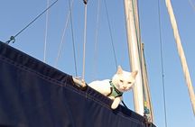 Plemmirio Sailing Tour from Ortigia with Snorkeling 