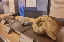Jurassic Museum of Asturias Tour from Oviedo