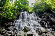 Best of Bali: Ubud All-inclusive Instagram highlights Tour