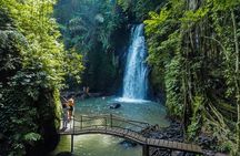Bali: Best of Ubud Instagram highlights All-inclusive Package 
