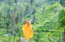 Best of Bali: Ubud All-inclusive Instagram highlights Tour