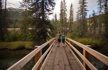 Banff Thermal Water and Hidden Waterfalls Walking Tour