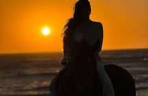 Experience Golden Hour Horseback Escape in Essaouira