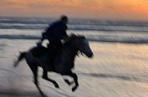 Experience Golden Hour Horseback Escape in Essaouira
