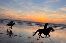 Experience Golden Hour Horseback Escape in Essaouira