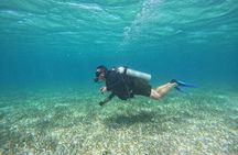 Dive into Ambergris Caye Belize Barrier Reef in Small Group