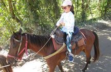 Horseback Riding on the Beach in Puerto Plata 