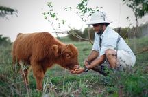Kauai Baby Farm Animals Experience and Immerse in a Micro Dairy