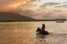 Horseback Riding on the Beach in Puerto Plata 
