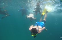 Snorkeling Experience at Catalina islands 